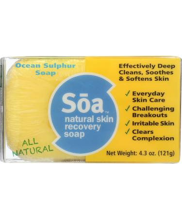 AMERICAS ACRES Natural Skin Recovery Soap Bar 4 OZ