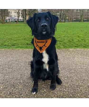 Printplanet Dog Scarf - Custom Name/Text for Hunting Dogs - Size L - Stylish & Functional Dog Apparel - Buy Online on GoSupps.com