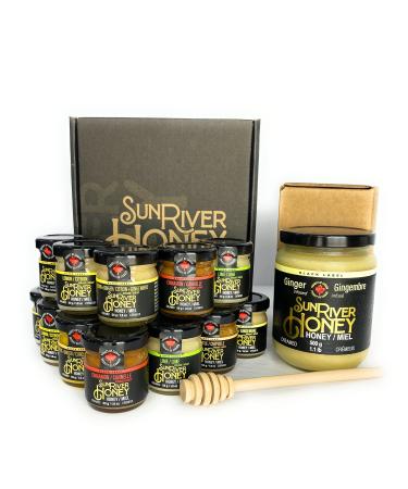 Sun River Honey Flavoured Honey Infusions (Mini Collection + Ginger Single Bundle)
