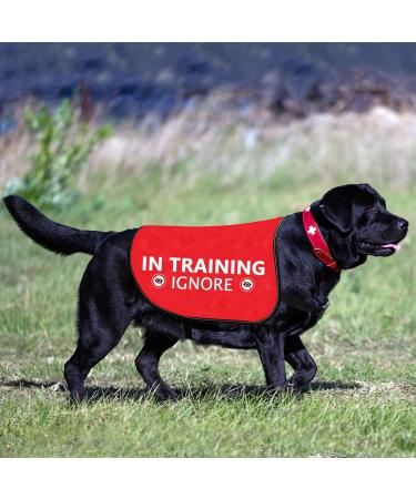 Buy Hollp Training Dog Jacket Vest - In Training Ignore Dog Walk Jacket | Large Size - Buy Online on GoSupps.com