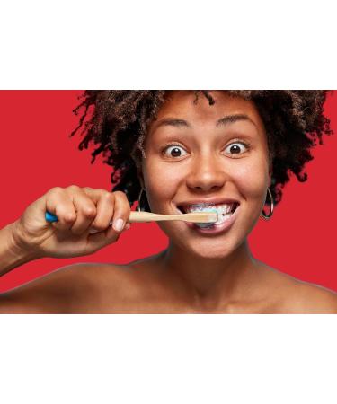  Kingfisher Kingfisher 12 x Fennel & Fluoride Toothpaste 100ml - Buy Online on GoSupps.com