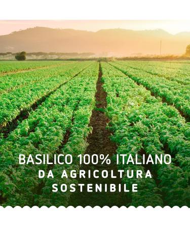  Italian Gourmet E.R. Pesto Sauce Megapack 8 x 190 g Genoese garlic-free Mediterranean Calabrian lemon pistachio rocket ricotta and walnuts gluten-free + Italian gourmet pulp 400 g - Buy Online on GoSupps.com