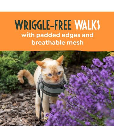 Adjustable Cat Harness and Lead Set - Escape Proof and Safe Design for Kittens - UK Universal Size Cat Leash - Buy Online on GoSupps.com
