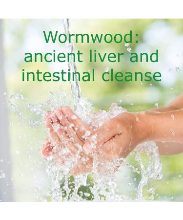 Wormwood & Artemisinin Intestinal Cleanse Supplement for Immune Strength & Energy - Buy Online on GoSupps.com