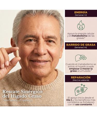 TODICAMP Liver Health with Milk Thistle Artichoke Extract Choline - Advanced Liver Detox Capsules for Liver Cleanse (Liver Support Capsules (Unflavored)) - Buy Online on GoSupps.com