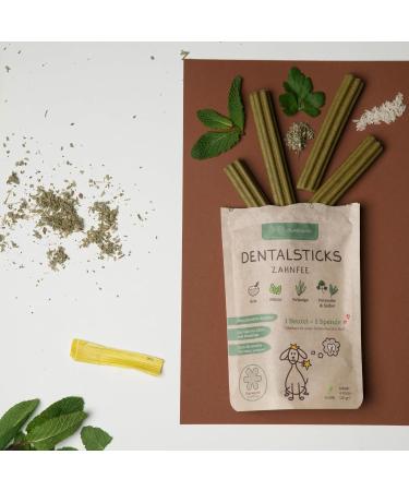 Hundreds of Dental Sticks for Dogs | 100% Natural Vegan Hypoallergenic | Dental Care Chewing Items - 3-Pack (Tooth Fairy) - Buy Online on GoSupps.com
