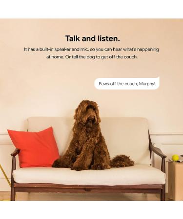 Google Nest Cam Indoor 3 Pack - Home Security Surveillance Camera - Phone Control, Mobile Alerts, Live Video, Night Vision - 1st Gen 3 Count - Buy Online on GoSupps.com