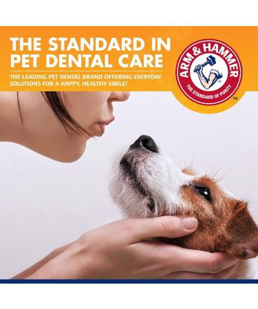 Arm & Hammer Tartar Control Dental Kit for Dogs - Banana Mint Flavor - Buy Online on GoSupps.com