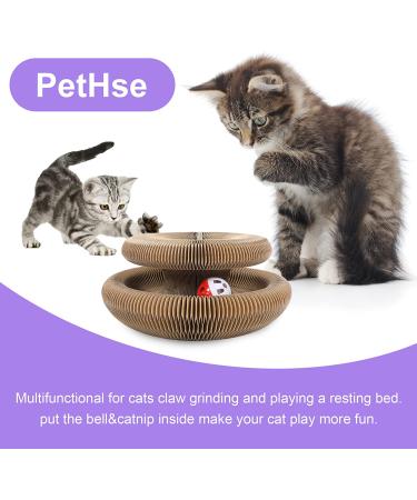 PetHse Magic Organ Cat Scratching Board - Interactive Scratch Pad Toy with Toy Bell Ball - Buy Online on GoSupps.com