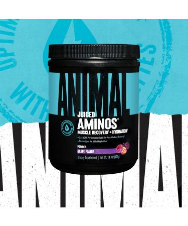 Animal Omega Omega 3 & 6 Supplement with Fish Oil & Flaxseed Oil Plus Juiced Amino Acids BCAA/EAA Matrix for Recovery - 30 Servings Each - Buy Online on GoSupps.com