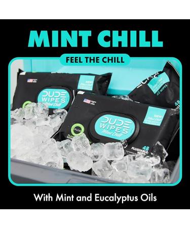 Dude Flushable Wet Wipes 3-Pack - Mint Chill - 144 Count - Vitamin-E  Aloe  Eucalyptus & Tea Tree Oils - Septic Safe - Buy Online on GoSupps.com