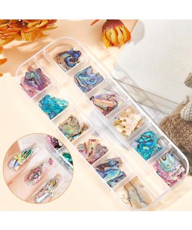 NICENEEDED 24 Grids Seashell Nail Art Nail Flakes Irregular Abalone Seashell Nail Art Slices Colorful Mermaid Nail Jewels Sequins Nail Charms for Women Nail Decoration - Buy Online on GoSupps.com