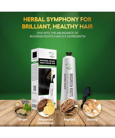 Ammonia-Free Herbal Hair Shampoo for Gray Coverage - Natural Black Hair Color & Nourishment - 150ml | Safe for Skin Ideal for Men & Women - Buy Online on GoSupps.com