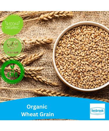 1kg Organic Wheat Grain | Certified Organic by Fenbrook Organic - Buy Online on GoSupps.com