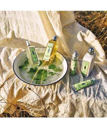 L'OCCITANE Mint Verbena Exfoliating Shower Gel 250ml - Refreshing Minty & Zesty Formula for All Skin Types - Buy Online on GoSupps.com