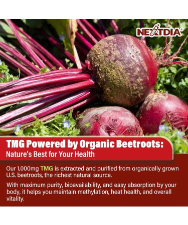 Nextdia Kava Kava Ashwagandha TMG Supplements Gummies 4Pack - Buy Online on GoSupps.com