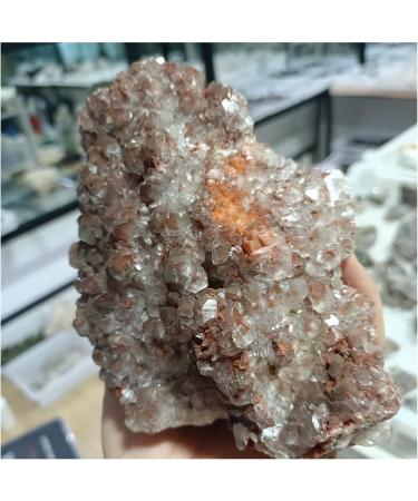Crystal Cluster Natural Mushroom Calcite Quartz Crystal Specimen Ment Home Degaussing Decoration Gem Gift ningxiao (Size : 800-900g) - Buy Online on GoSupps.com