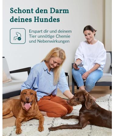 Vetevo Wurmtest Dog - Fast 12h Results for Roundworms Hookworms & Coccidia - Precise Parasite Test for All Dogs | International Shipping - Buy Online on GoSupps.com