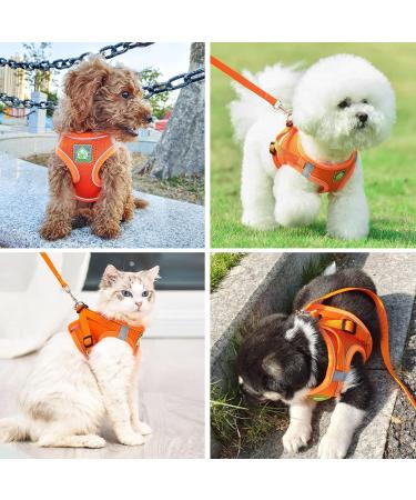 Zhenle Adjustable Reflective Cat Dishes Set with Leash - XS Orange Cat Collar & Bowl Bundle for International Shipping - Buy Online on GoSupps.com