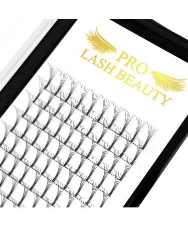 Pre Made Fan Eyelash Extensions 6D-C-0.07-9 Long Stem Pre Fanned Russian Volume Lashes 0.07 0.10 Premade Fans Eyelash Extension C D curl Lash Extension 6D-C-0.07-09 9 mm 6D-C-0.07-CG