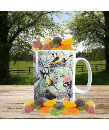 British Garden Birds Mug with Choice of Sweets Gift - Buy Online on GoSupps.com