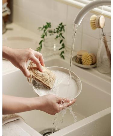 Jungle Culture Eco-Friendly Bamboo Dish Brush Set - 4 Piece Kitchen Cleaning Brushes with 3 Replacement Heads - Long Handle Wooden Brush for Pans, Plates, and Dishes - Buy Online on GoSupps.com