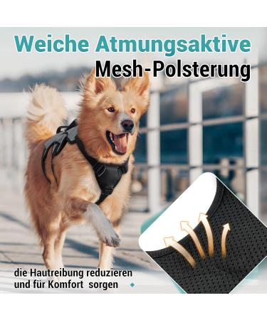 Rabbitgoo Break-Proof Dog Harness for Medium Dogs - Adjustable Breathable Padded Vest with Handle & Anti-Train Safety - Gray XL (1 Pack) - Ship Internationally - Buy Online on GoSupps.com