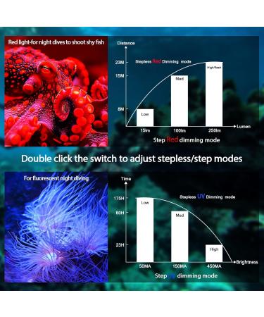Wurkkos DL08 Dive Light 3600 Lumens Rechargeable Scuba Underwater Lights with Red and UV Light - IP68 Underwater Video with Infinite Brightness Adjustment and 5000mAh Battery for Night Diving - Buy Online on GoSupps.com