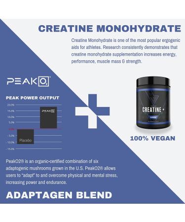 Vedge Nutrition Creatine+ | Vegan Plant-Based Monohydrate Powder | Energy & Performance Boost | 30 Servings - Buy Online on GoSupps.com