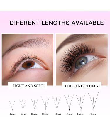 Buy Loose Fans Lash Extensions - 1000 Premade 3D Volume Fans | 0.07 C Curl 15mm Eyelash Extensions - International Shipping Available - Buy Online on GoSupps.com