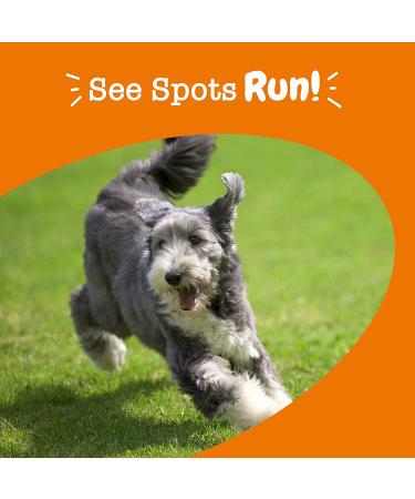 Zesty Paws Stay Green Bites for Dogs - Beef Flavor Digestive Chews, 90 Soft Chews - Buy Online on GoSupps.com