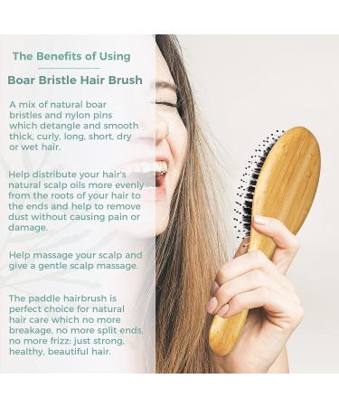 Shineworth Boar Bristle Hair Brush Set with Natural Bamboo Paddle and Wide Tooth Comb for Frizz Reduction and Detangling - Men and Women, Ideal for Thick, Curly, and Long Hair - Buy Online on GoSupps.com