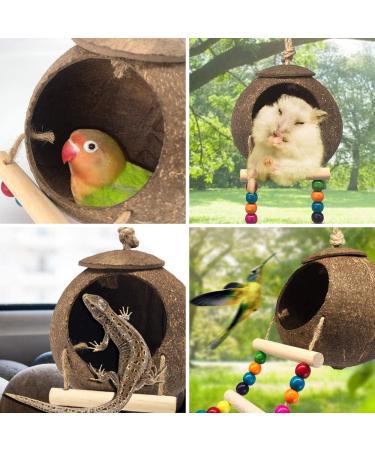 Hanging Coconut Bird House with Ladder - Natural Fiber Shell Nest for Birds - Swing Toys & Accessories for Parakeets, Finches & Canaries - Buy Online on GoSupps.com