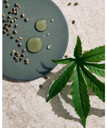 NIVEA MEN Sensitive Pro Ultra Soothing Shaving Cream (1 x 200 ml) Shaving Cream with Organic Hemp Oil and Vitamin E Men's care for all skin types even sensitive skin - Buy Online on GoSupps.com