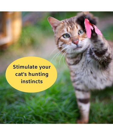 Interactive 11-Piece Buddy Wild Cat Toy Set with Teaser Wands and Feather Worms - Vibrant Colors - Exercise Toys for Cats and Kittens - Buy Online on GoSupps.com