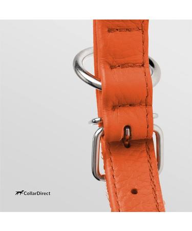 Collardirect Handmade Round Leather Dog Collar | Soft Padded Rolled Design for Small & Large Pets - Available in Black Pink Red Purple Blue Orange (48-53 cm) - Buy Online on GoSupps.com