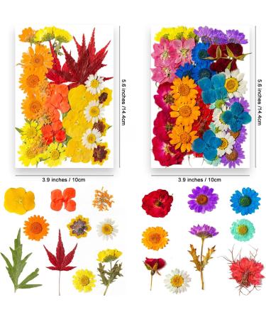 141PCS Real Nature Dried Pressed Flowers for Resin Mold - DIY Jewelry, Nail Art & Scrapbook Decor - Buy Online on GoSupps.com