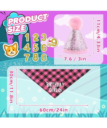 Cobee Dog Birthday Bandana Set | Dog Birthday Hat & Tie | Pink Dog Accessories for Puppy & Cat Party - Buy Online on GoSupps.com