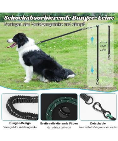 Aystkniet Bungee Dog Drag Line - Shock-Absorbing Leash for Medium & Large Dogs | 3m to 30m Lengths | Padded Handle & Reflective Threads | Lockable Hook - Durable 8mm Turkey - Buy Online on GoSupps.com
