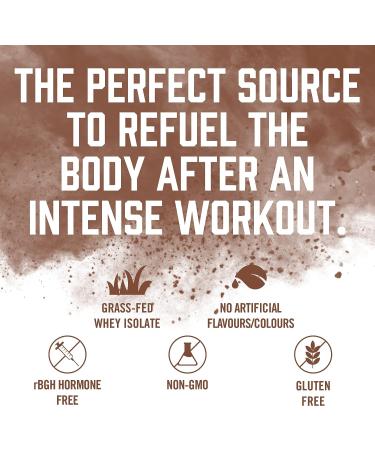 BioSteel Recovery Protein Plus Powder - Grass-Fed Chocolate, Non-GMO Formula | 27 Servings - Buy Online on GoSupps.com