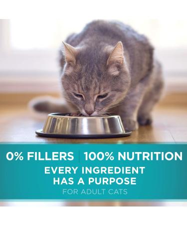 Purina ONE Dry Cat Food for Sensitive Systems + Senior Cat | 2 x 1.8 kg Cat Food + Cat Food 1.8 kg - Buy Online on GoSupps.com