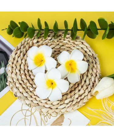 24 Pack Hawaiian Flower Hair Clips - 2.5 Inch Plumeria Foam Accessories for Women - Luau Party Decorations & Bridal Wedding Supplies - Buy Online on GoSupps.com