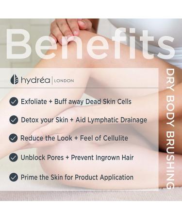 Hydrea London Body Brush Back Scrubber - Long Handle Shower Brush with Natural Bristles - Exfoliating Cellulite Brush - FSC Certified Beechwood - 2 Piece Set - Buy Online on GoSupps.com