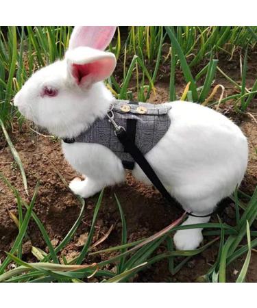 Wosume Rabbit Leash & Clothes - Cotton Accessories for Small Rabbits | International Shipping - Buy Online on GoSupps.com