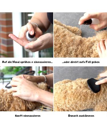 Moki Bear Detangling Spray & Combing Aid for Dogs | 200ml | Easy Coat Care & Combing Solution - Buy Online on GoSupps.com