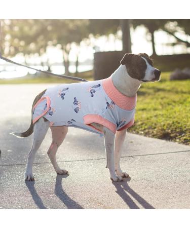Recovery Suit for Dogs | Postoperative Wound Protection & Anti-Licking Clothing (XS Blue Cactus) - Ideal for Puppies - Buy Online on GoSupps.com