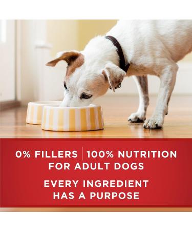 Purina ONE Classic Ground Wet Dog Food Variety Pack 2 Flavours - 368 g Can (6 Pack) - Buy Online on GoSupps.com
