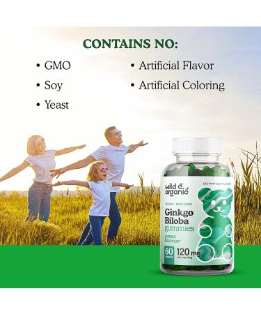 Wild Organic Ginkgo Biloba Gummies - Brain & Mental Support Supplement for Mood, Focus, Energy & Blood Circulation - Vegan Non-GMO - 60 Chews - Buy Online on GoSupps.com