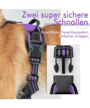 Rabbitgoo Medium Dog Harness - No Pull Adjustable Breathable with Reflex Stripes - Safe Control for Large Dogs - Purple (1 Pack) - Buy Online on GoSupps.com