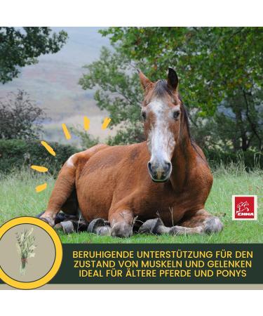 Devil's Claw Horse 1L Joint Plus Natural Devil's Claw Horses I Horses Liquid Joints for Support of Musculoskeletal System & Joints in the Case of Horse Osteoarthritis - Buy Online on GoSupps.com